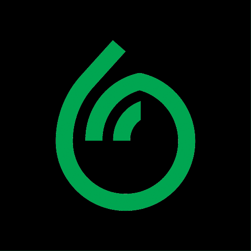 Dumpling Grocery | Boss logo