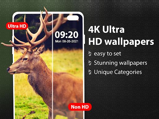 Wallpaper HD and 4k Wallpapers