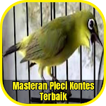 Cover Image of ダウンロード Masteran Pleci Kontes Terbaik 1.8 APK
