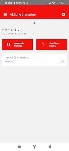 MMA Radnički Niš Screen 2
