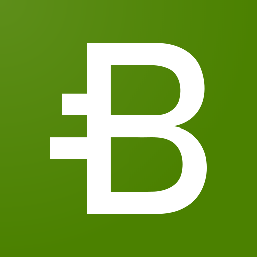 Budgetimize logo