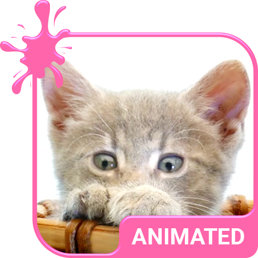 Pretty Kitty Animated Keyboard + Live Wallpaper