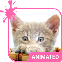 Pretty Kitty Animated Keyboard + Live Wallpaper