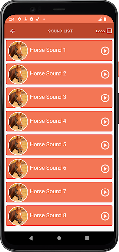 Horse Sounds Screen 3
