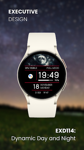 EXD114: Dynamic Day and Night screenshot 3