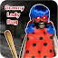 Horror LadyBug Granny