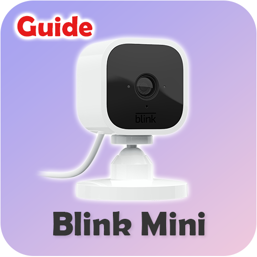 Blink Mini Guide