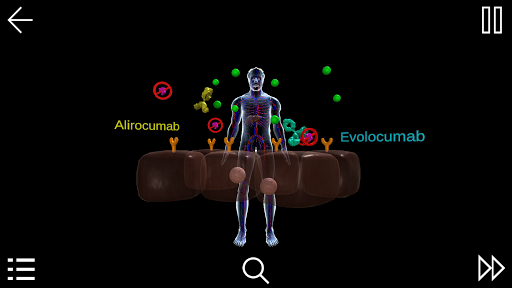 Familial Hypercholesterolemia Screen 2