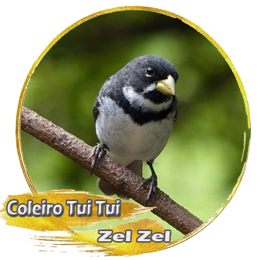 Coleiro Tui Tui Zel Zel Auf Windows herunterladen