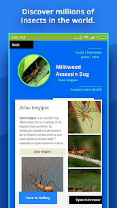 Insect Identifier Apk (پرداخت شده) 2