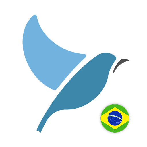 Learn Brazilian Portuguese. Sp  Icon