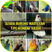 Top 38 Music & Audio Apps Like Audio Masteran Burung Tipe Nembak Kasar - Best Alternatives