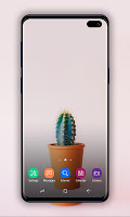 Cute Cactus Wallpapers HD