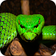 Snake Wallpapers विंडोज़ पर डाउनलोड करें