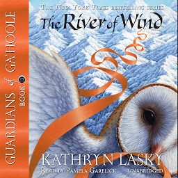Icon image The River of Wind