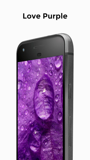 Android application Ungu Purple Wallpaper screenshort