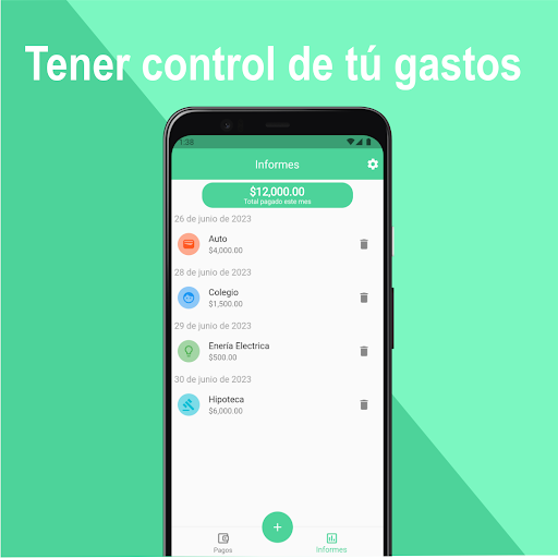 Organizador de Pagos -Finanzas