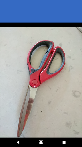 Fork Detector Screen 2