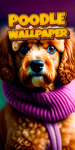 Android application poodle wallpaper screenshort