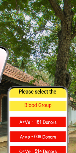 Blood Donors Junction Screen 2