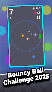 Bouncy Ball Challenge 2025 3