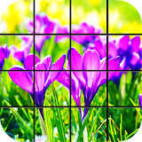 Spring Puzzle Games icon
