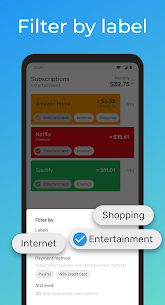 Subscriptions – Manage your regular expenses 3