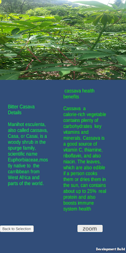 Plantidentifier2 Screen 2