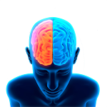 Cover Image of Baixar Brain Memory-Image Matching Ga  APK