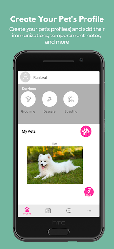 Screenshot of Swanky Paws