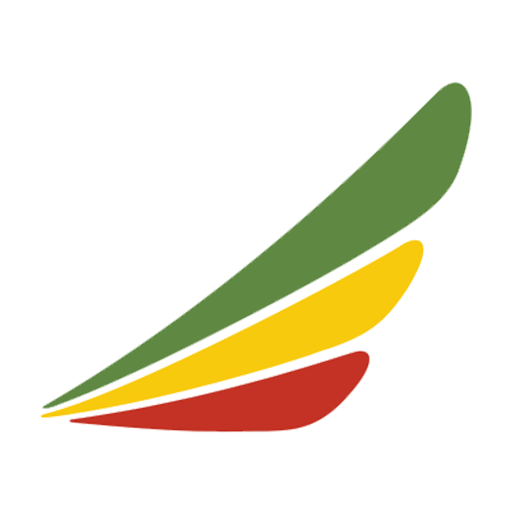 Ethiopian Airlines  Icon