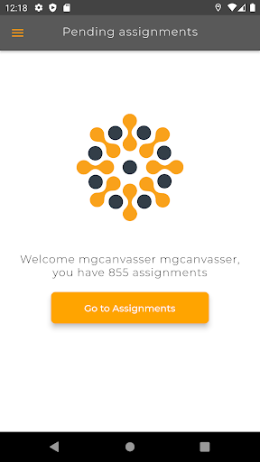 DSG Canvasser Screen 3