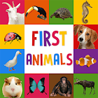First Words for Baby: Animals 3.0
