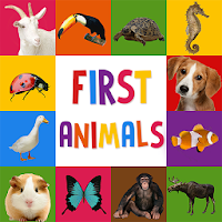 First Words for Baby: Animals