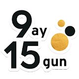 9ay15gun.com icon