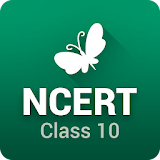 NCERT Solutions for Class 10 icon