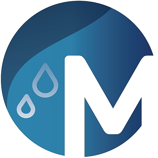Master plumbing logo