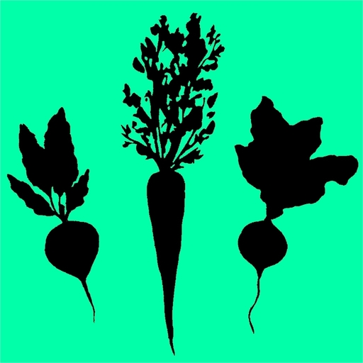 VegOrganics logo