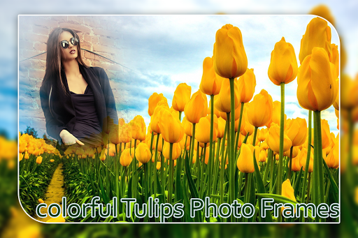 Colorful Tulips Photo Frame