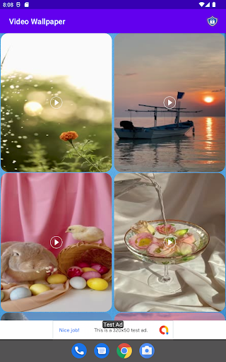 Video Wallpaper Screen 2