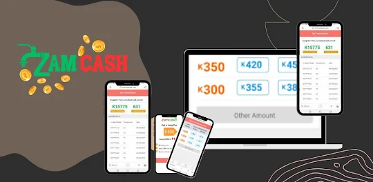 zamcash loans guide