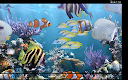 screenshot of The real aquarium - LWP
