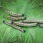 Cover Image of ダウンロード Pacific Pests Pathogens Weeds  APK