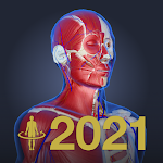 Cover Image of Tải xuống 3D anatomy teamLabBody2021  APK
