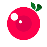CherryCam - Smart filter camera icon