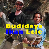 Budidaya Ikan Lele icon