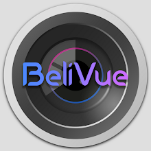 BeliVue Viewer Download on Windows