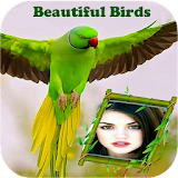 Beautiful Birds Photo Frames New icon