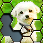 Cover Image of Télécharger JIgsaw Puzzles Hexa 🧩🔥🎯  APK