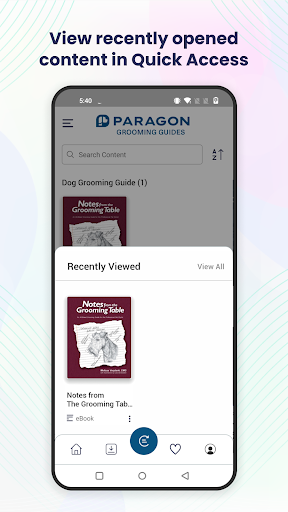 Paragon Reader Screen 2